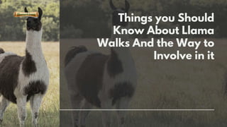 Things you Should
Know About Llama
Walks And the Way to
Involve in it
 