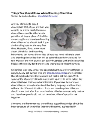 Things You Should Know When Breeding Chinchillas
Written By: Lindsey Perkins – Chinchilla Information


Are you planning to breed
chinchillas? Well, if you are than you
need to be a little careful because
chinchillas are unlike other exotic
pets that sit in one place. Chinchillas
are very agile and therefore breeding
chinchillas can be a hectic task if you
are handling pets for the very first
time. However, if you know more
about chinchillas and how they
behave you can have a better idea of how you need to handle them
and breeding chinchillas than will be somewhat comfortable and fun
too. Many of the new owners get easily frustrated with their chinchillas
because they really don’t understand their pet and what they want.

Chinchillas look very similar like squirrels but they are very different in
nature. Many pet owners who are breeding chinchillas often consider
that chinchillas behave like squirrels but that is not the case. Well,
some of the characteristics do match with squirrel to some extent but
chinchillas have their own characteristics. If you have two or more
chinchillas you should understand that body language and how they
will react to different situations. If you are breeding chinchillas you
should know that after four months chinchillas become sexually mature
and therefore you should not put two chinchillas of opposite sex
together.

Since you are the owner you should have a good knowledge about the
body structure of chinchillas that would help you a great deal in
                  Things You Should Know When Breeding Chinchillas
 