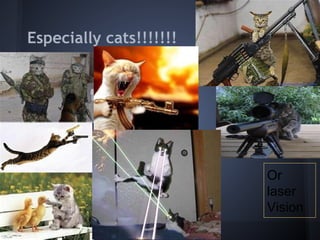 Especially cats!!!!!!!




                         Or
                         laser
                         Vision
 