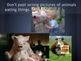 Don't post wrong pictures of animals
eating things.
 
