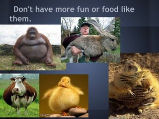 Don't have more fun or food like
them.
 