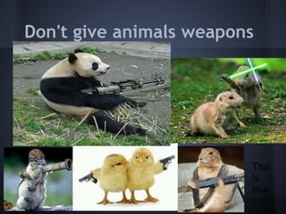 Don't give animals weapons




                         This
                         is
                         true
 