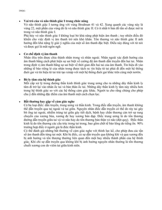 DHQG
 Vai trò của vỏ não thính giác I trong chức năng
Vỏ não thính giác I tương ứng với vùng Brodman 41 và 42. Xung quanh các vùng này là
vùng 22, một phần của vùng đó là vỏ não thính giác II. Có ít nhất 6 bản đồ tần số được mô tả
trong vỏ não thính giác I.
Phá hủy vỏ não thính giác I không loại bỏ khả năng phát hiện âm thanh ; tuy nhiên điều đó
khiến cho việc định vị âm thanh trở nên khó khăn. Tổn thương vỏ não thính giác II ảnh
hưởng đến khả năng lý giải ý nghĩa của một số âm thanh đặc biệt. Điều này đúng với từ nói
và được gọi là mất ngôn ngữ.
 Cơ chế định vị âm thanh
Nhân ôliu trên được chia thành nhân trong và nhân ngoài. Nhân ngoài xác định hướng của
âm thanh bằng cách phát hiện sự sai biệt về cường độ âm thanh dẫn truyền đến hai tai. Nhân
trong định vị âm thanh bằng sự sai biệt về thời gian đến hai tai của âm thanh. Tín hiệu đi vào
những tế bào riêng lẻ của nhân trong được tách ra: tín hiệu từ tai phải đi đến một hệ thống
đuôi gai và tín hiệu từ tai trái tạo xináp với một hệ thống đuôi gai khác trên cùng một nơrôn.
 Bó ly tâm của hệ thính giác
Mỗi cấp xử lý trong đường thần kinh thính giác trung ương cho ra những dây thần kinh ly
tâm đi trở lại vào nhân ốc tai và bản thân ốc tai. Những dây thần kinh ly tâm này nhiều hơn
trong hệ thính giác so với các hệ thống cảm giác khác. Người ta cho rằng chúng cho phép
chu ý đến những đặc điểm của âm thanh một cách chọn lọc.
 Bất thường hay gặp về cảm giác nghe
Có ba loại điếc: dẫn truyền, trung ương và thần kinh. Trong điếc dẫn truyền, âm thanh không
thể dẫn truyền qua tai ngoài và tai giữa. Nguyên nhân điếc dẫn truyền có thể do ráy tai gây
bít ống tai ngoài, nhiễm trùng tai giữa gây tiết dịch, bệnh hay chấn thương cản trở sự rung
chuyển của xương búa, xương đe hay xương bàn đạp. Điếc trung ương là do tổn thương
đường dẫn truyền giữa tai và vỏ não hay do tổn thương bản thân vỏ não (đột quỵ). Điếc thần
kinh là do tổn thương các cấu trúc trong tai trong, bao gồm chết tế bào lông do tiếng ồn. 90%
trường hợp điếc ở người già là điêc thần kinh.
Có thể đánh giá những bất thường về cảm giác nghe với thính lực kế, cho phép đưa các tần
số âm thanh đến từng tai một. Khi bị điếc, cả sự dẫn truyền qua không khí và qua xương đều
bị ảnh hưởng và tổn thương thường liên quan đến một hay nhiều thành phần của hệ thính
giác. Khi chỉ sự dẫn truyền qua không khí bị ảnh hưởng nguyên nhân thường là tổn thương
chuỗi xương con do viêm tai giữa kinh niên.
 