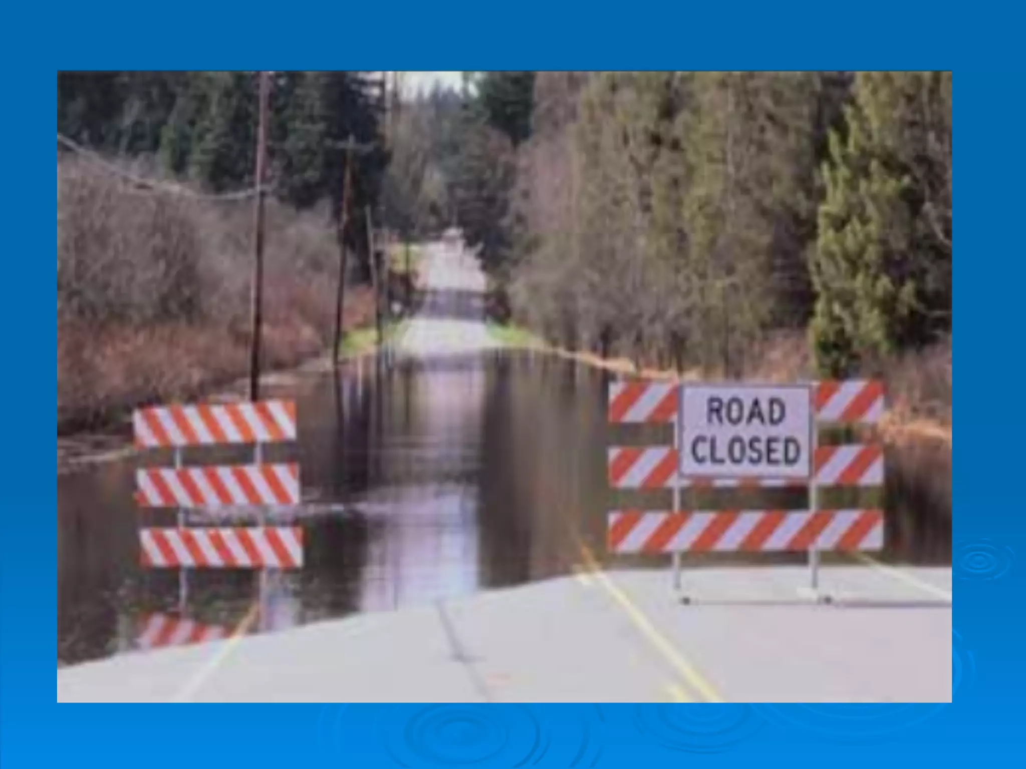 Think Like A Scientist