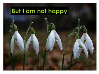 But  I  am not happy 