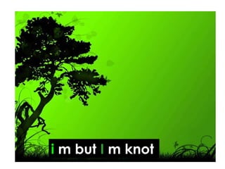 i  m but  I  m knot 