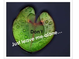 Just leave me alone… Don’t 