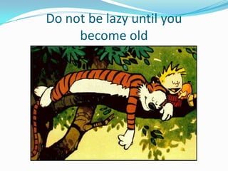 Do not be lazy until you
     become old
 