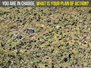 you are in charge. What is your plan of action?
 