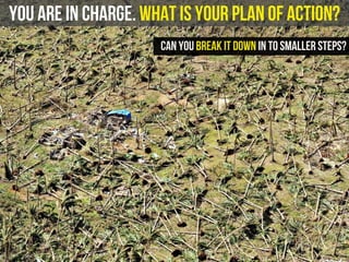 you are in charge. What is your plan of action?
Can you break it down in to smaller steps?
 
