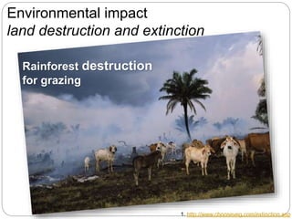 Environmental impact
land destruction and extinction
Rainforest destruction
for grazing
1. http://www.chooseveg.com/extinction.asp
 
