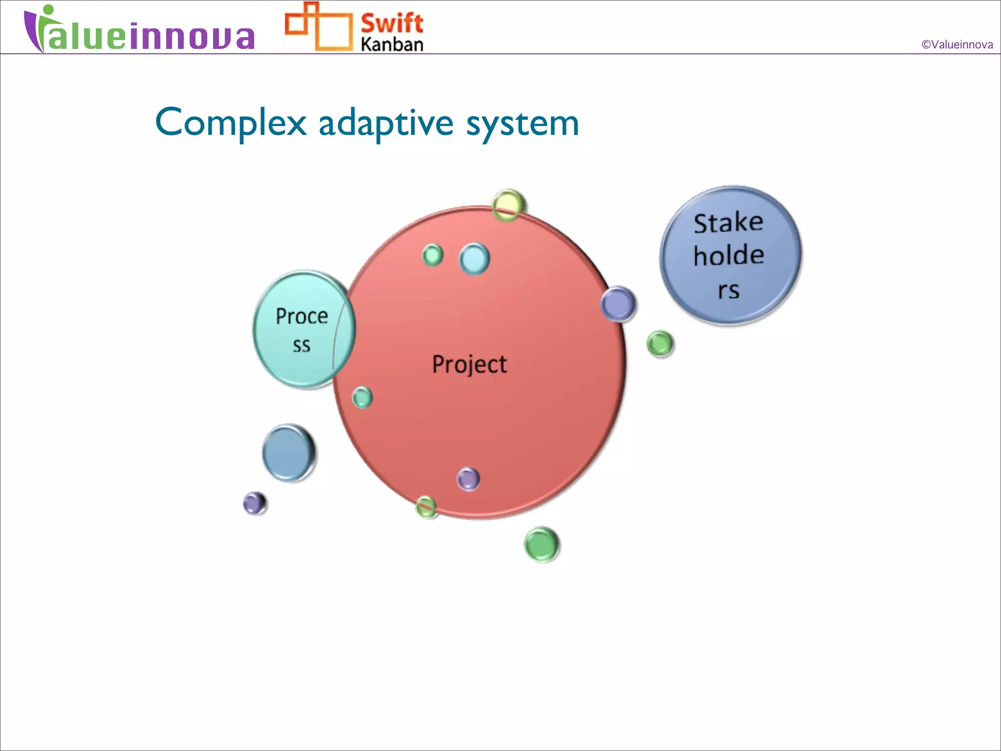 alueinnova                     ©Valueinnova




     Complex adaptive system
 