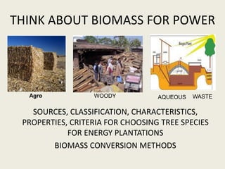 THINK ABOUT BIOMASS FOR POWER
SOURCES, CLASSIFICATION, CHARACTERISTICS,
PROPERTIES, CRITERIA FOR CHOOSING TREE SPECIES
FOR ENERGY PLANTATIONS
BIOMASS CONVERSION METHODS
WOODY
Agro AQUEOUS WASTE
 