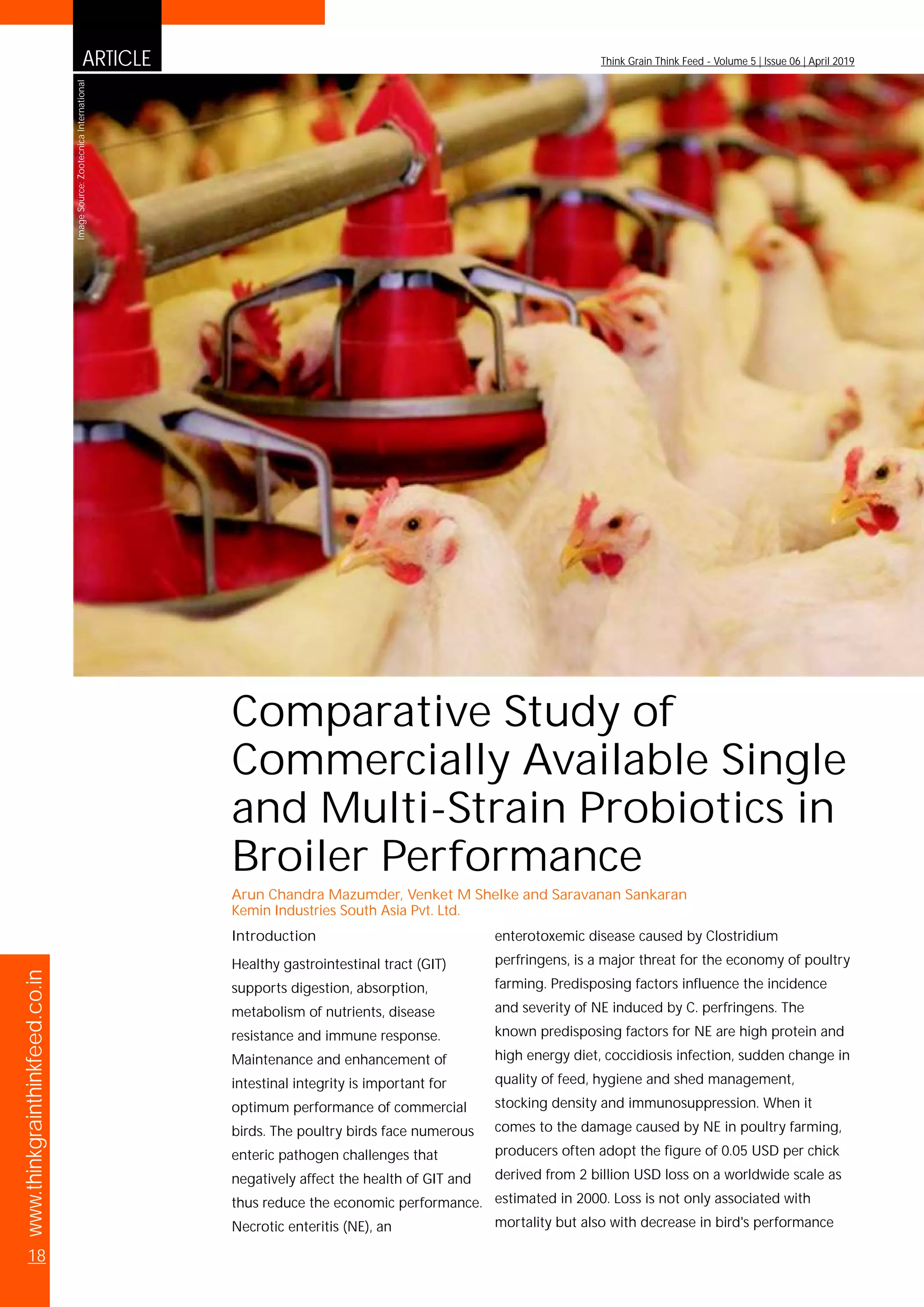 ARTICLE
www.thinkgrainthinkfeed.co.in
18
Think Grain Think Feed - Volume 5 | Issue 06 | April 2019
Introduction
Healthy gastrointestinal tract (GIT)
supports digestion, absorption,
metabolism of nutrients, disease
resistance and immune response.
Maintenance and enhancement of
intestinal integrity is important for
optimum performance of commercial
birds. The poultry birds face numerous
enteric pathogen challenges that
negatively affect the health of GIT and
thus reduce the economic performance.
Necrotic enteritis (NE), an
enterotoxemic disease caused by Clostridium
perfringens, is a major threat for the economy of poultry
farming. Predisposing factors influence the incidence
and severity of NE induced by C. perfringens. The
known predisposing factors for NE are high protein and
high energy diet, coccidiosis infection, sudden change in
quality of feed, hygiene and shed management,
stocking density and immunosuppression. When it
comes to the damage caused by NE in poultry farming,
producers often adopt the figure of 0.05 USD per chick
derived from 2 billion USD loss on a worldwide scale as
estimated in 2000. Loss is not only associated with
mortality but also with decrease in bird's performance
Comparative Study of
Commercially Available Single
and Multi-Strain Probiotics in
Broiler Performance
Arun Chandra Mazumder, Venket M Shelke and Saravanan Sankaran
Kemin Industries South Asia Pvt. Ltd.
ImageSource:ZootecnicaInternational
 
