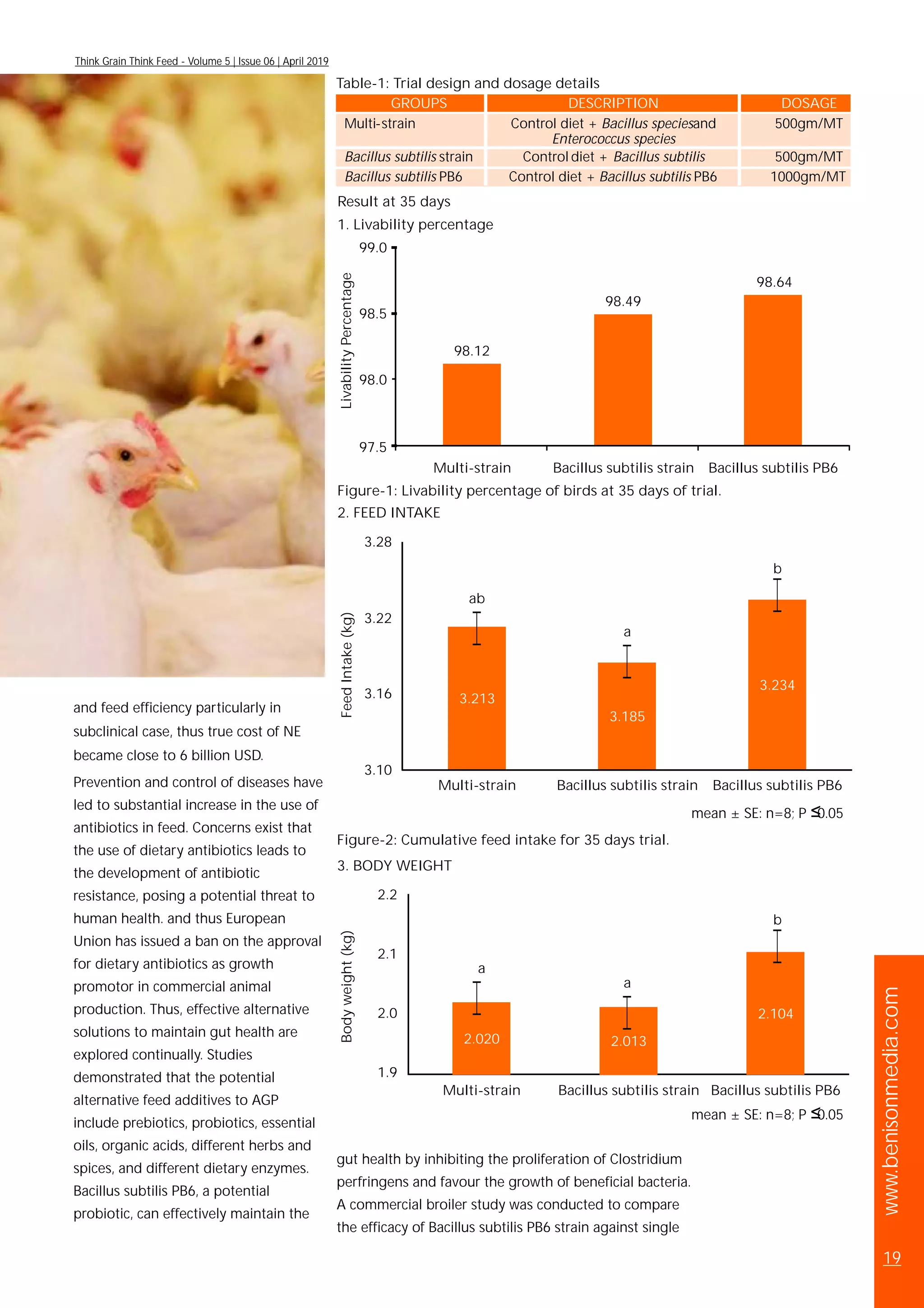 1.9
2.0
2.1
2.2
Bodyweight(kg)
Multi-strain Bacillus subtilis strain Bacillus subtilis PB6
a
a
b
2.020 2.013
2.104
3.10
3.16
3.22
3.28
Multi-strain Bacillus subtilis strain Bacillus subtilis PB6
FeedIntake(kg)
3.213
3.185
3.234
ab
a
b
www.benisonmedia.com
19
Think Grain Think Feed - Volume 5 | Issue 06 | April 2019
and feed efficiency particularly in
subclinical case, thus true cost of NE
became close to 6 billion USD.
Prevention and control of diseases have
led to substantial increase in the use of
antibiotics in feed. Concerns exist that
the use of dietary antibiotics leads to
the development of antibiotic
resistance, posing a potential threat to
human health. and thus European
Union has issued a ban on the approval
for dietary antibiotics as growth
promotor in commercial animal
production. Thus, effective alternative
solutions to maintain gut health are
explored continually. Studies
demonstrated that the potential
alternative feed additives to AGP
include prebiotics, probiotics, essential
oils, organic acids, different herbs and
spices, and different dietary enzymes.
Bacillus subtilis PB6, a potential
probiotic, can effectively maintain the
gut health by inhibiting the proliferation of Clostridium
perfringens and favour the growth of beneficial bacteria.
A commercial broiler study was conducted to compare
the efficacy of Bacillus subtilis PB6 strain against single
Table-1: Trial design and dosage details
GROUPS DESCRIPTION DOSAGE
Multi-strain Control diet + Bacillus speciesand
Enterococcus species
500gm/MT
Bacillus subtilis strain 500gm/MT
Bacillus subtilis PB6
Control diet + Bacillus subtilis
Control diet + Bacillus subtilis PB6 1000gm/MT
Result at 35 days
1. Livability percentage
Figure-1: Livability percentage of birds at 35 days of trial.
2. FEED INTAKE
mean ± SE: n=8; P≤0.05
Figure-2: Cumulative feed intake for 35 days trial.
3. BODY WEIGHT
mean ± SE: n=8; P≤0.05
98.12
98.49
98.64
97.5
98.0
98.5
99.0
Multi-strain Bacillus subtilis strain Bacillus subtilis PB6
LivabilityPercentage
 
