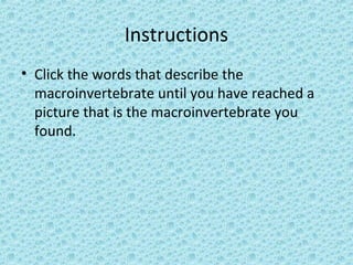 Instructions
• Click the words that describe the
  macroinvertebrate until you have reached a
  picture that is the macroinvertebrate you
  found.
 