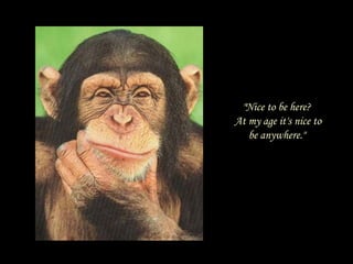 "Nice to be here?  At my age it's nice to be anywhere."  