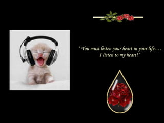 “  You must listen your heart in your life…. I listen to my heart!” 