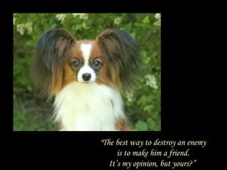 "The best way to destroy an enemy is to make him a friend. It’s my opinion, but yours?”  