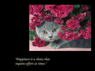 "Happiness is a choice that requires effort at times."  