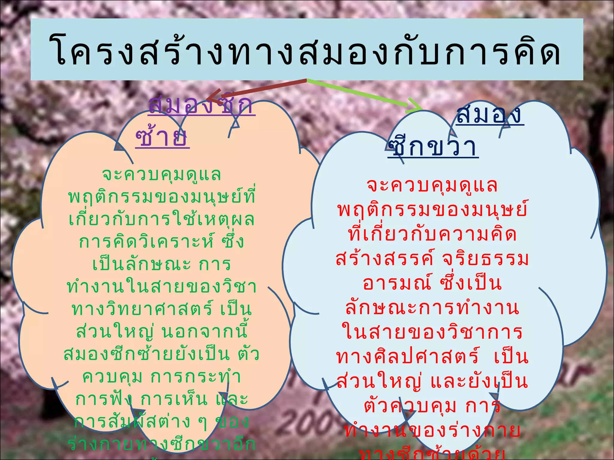 โครงสร้า งทางสมองกับ การคิด
          สมองซีก                       สมอง
         ซ้า ย                    ซีก ขวา
      จะควบคุม ดูแ ล
                                 จะควบคุม ดูแ ล
พฤติก รรมของมนุษ ย์ท ี่
เกี่ย วกับ การใช้เ หตุผ ล   พฤติก รรมของมนุษ ย์
  การคิด วิเ คราะห์ ซึ่ง     ที่เ กี่ย วกับ ความคิด
    เป็น ลัก ษณะ การ        สร้า งสรรค์ จริย ธรรม
ทำา งานในสายของวิช า            อารมณ์ ซึ่ง เป็น
 ทางวิท ยาศาสตร์ เป็น        ลัก ษณะการทำา งาน
 ส่ว นใหญ่ นอกจากนี้        ในสายของวิช าการ
สมองซีก ซ้า ยยัง เป็น ตัว   ทางศิล ปศาสตร์ เป็น
  ควบคุม การกระทำา          ส่ว นใหญ่ และยัง เป็น
 การฟัง การเห็น และ             ตัว ควบคุม การ
 การสัม ผัส ต่า ง ๆ ของ      ทำา งานของร่า งกาย
ร่า งกายทางซีก ขวาอีก
 