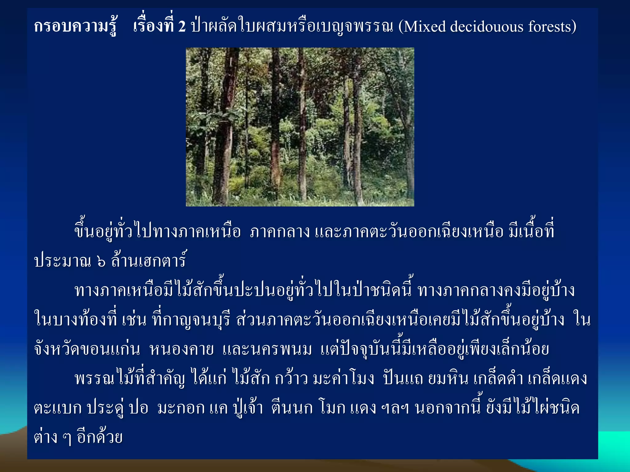 กรอบความรู้ เรื่องที่ 2 ป่าผลัดใบผสมหรือเบญจพรรณ (Mixed decidouous forests)
ขึ้นอยู่ทั่วไปทางภาคเหนือ ภาคกลาง และภาคตะวันออกเฉียงเหนือ มีเนื้อที่
ประมาณ ๖ ล้านเฮกตาร์
ทางภาคเหนือมีไม้สักขึ้นปะปนอยู่ทั่วไปในป่าชนิดนี้ ทางภาคกลางคงมีอยู่บ้าง
ในบางท้องที่ เช่น ที่กาญจนบุรี ส่วนภาคตะวันออกเฉียงเหนือเคยมีไม้สักขึ้นอยู่บ้าง ใน
จังหวัดขอนแก่น หนองคาย และนครพนม แต่ปัจจุบันนี้มีเหลืออยู่เพียงเล็กน้อย
พรรณไม้ที่ส่าคัญ ได้แก่ ไม้สัก กว้าว มะค่าโมง ปันแถ ยมหิน เกล็ดด่า เกล็ดแดง
ตะแบก ประดู่ ปอ มะกอก แค ปู่เจ้า ตีนนก โมก แดง ฯลฯ นอกจากนี้ ยังมีไม้ไผ่ชนิด
ต่าง ๆ อีกด้วย
 