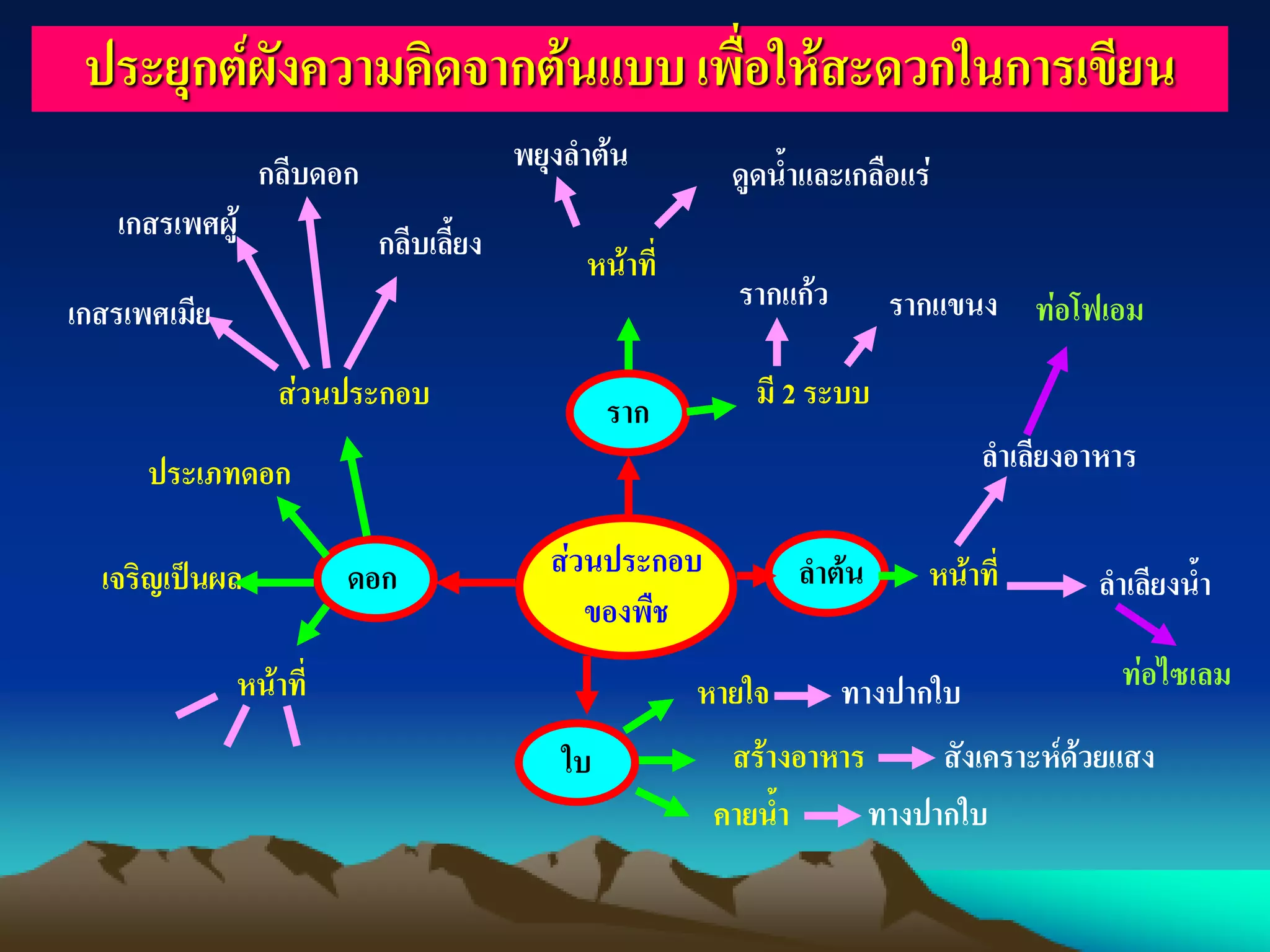 ประยุกต์ผังความคิดจากต้นแบบ เพื่อให้สะดวกในการเขียน
กลีบดอก
เกสรเพศผู้
เกสรเพศเมีย
ส่วนประกอบ
กลีบเลี้ยง
ประเภทดอก
เจริญเป็นผล
หน้าที่
ดอก
พยุงลาต้น ดูดน้าและเกลือแร่
หน้าที่
รากแก้ว รากแขนง ท่อโฟเอม
ราก
ใบ
ส่วนประกอบ
ของพืช
ลาต้น
หายใจ ทางปากใบ
สร้างอาหาร สังเคราะห์ด้วยแสง
คายน้า ทางปากใบ
หน้าที่
ท่อไซเลม
ลาเลียงน้า
ลาเลียงอาหาร
มี 2 ระบบ
 