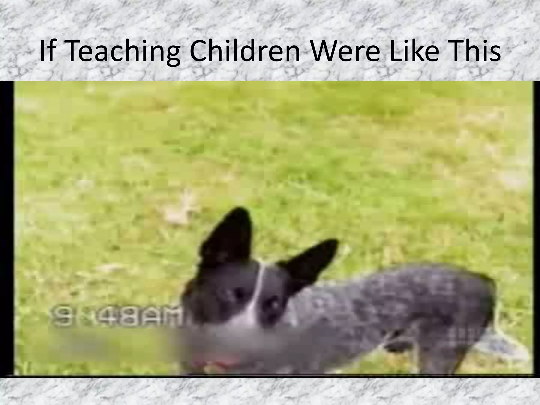 If Teaching Children Were Like This
 