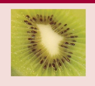 TD_03_TOOLS_ALL 12/9/07 9:32 am Page 14
 