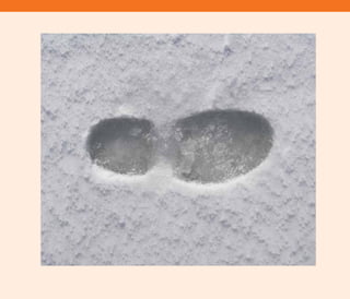 TD_02_TOOLS_ALL 12/9/07 9:28 am Page 38
 