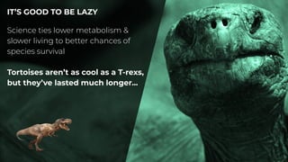 IT’S GOOD TO BE LAZY
Science ties lower metabolism &
slower living to better chances of
species survival
Tortoises aren’t as cool as a T-rexs,
but they’ve lasted much longer...
 