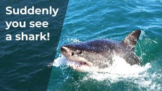 Suddenly
you see
a shark!
 