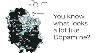 You know
what looks
a lot like
Dopamine?
 