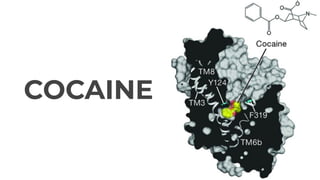COCAINE
 