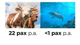 22 pax p.a. <1 pax p.a.
 