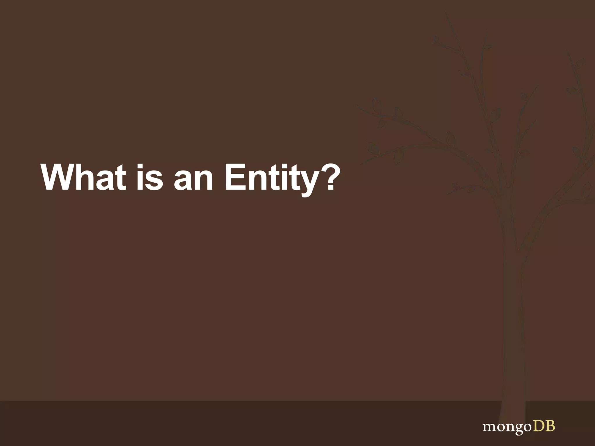 What is an Entity?
 