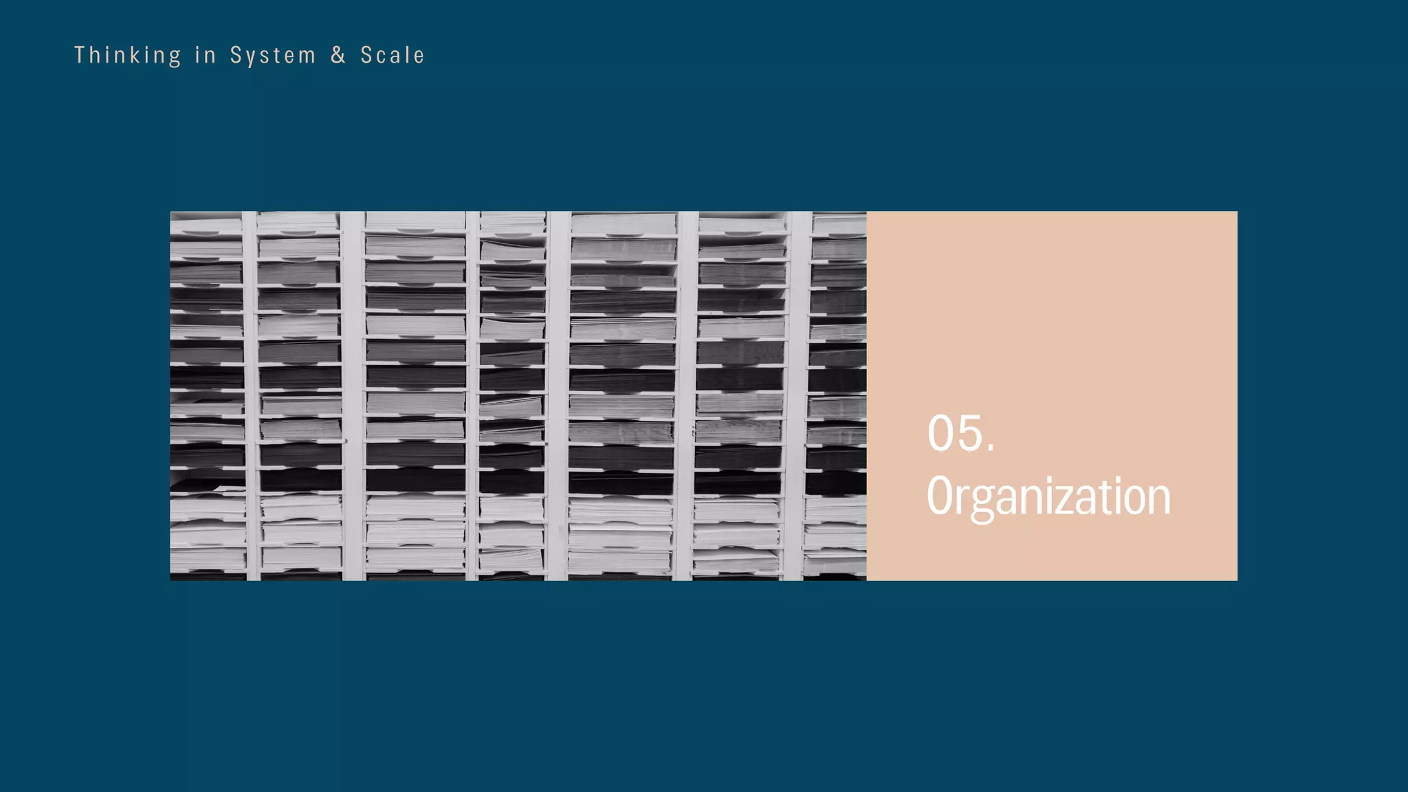 T h i n k i n g i n S y s t e m & S c a l e
05.
Organization
 
