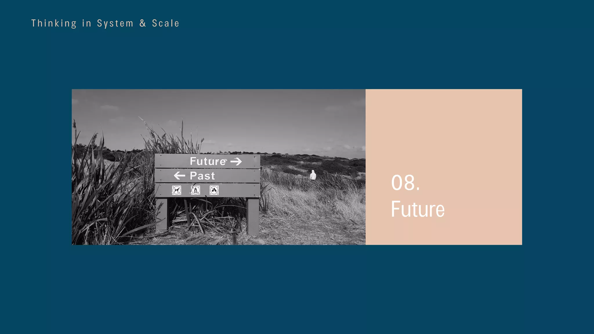 T h i n k i n g i n S y s t e m & S c a l e
08.
Future
 