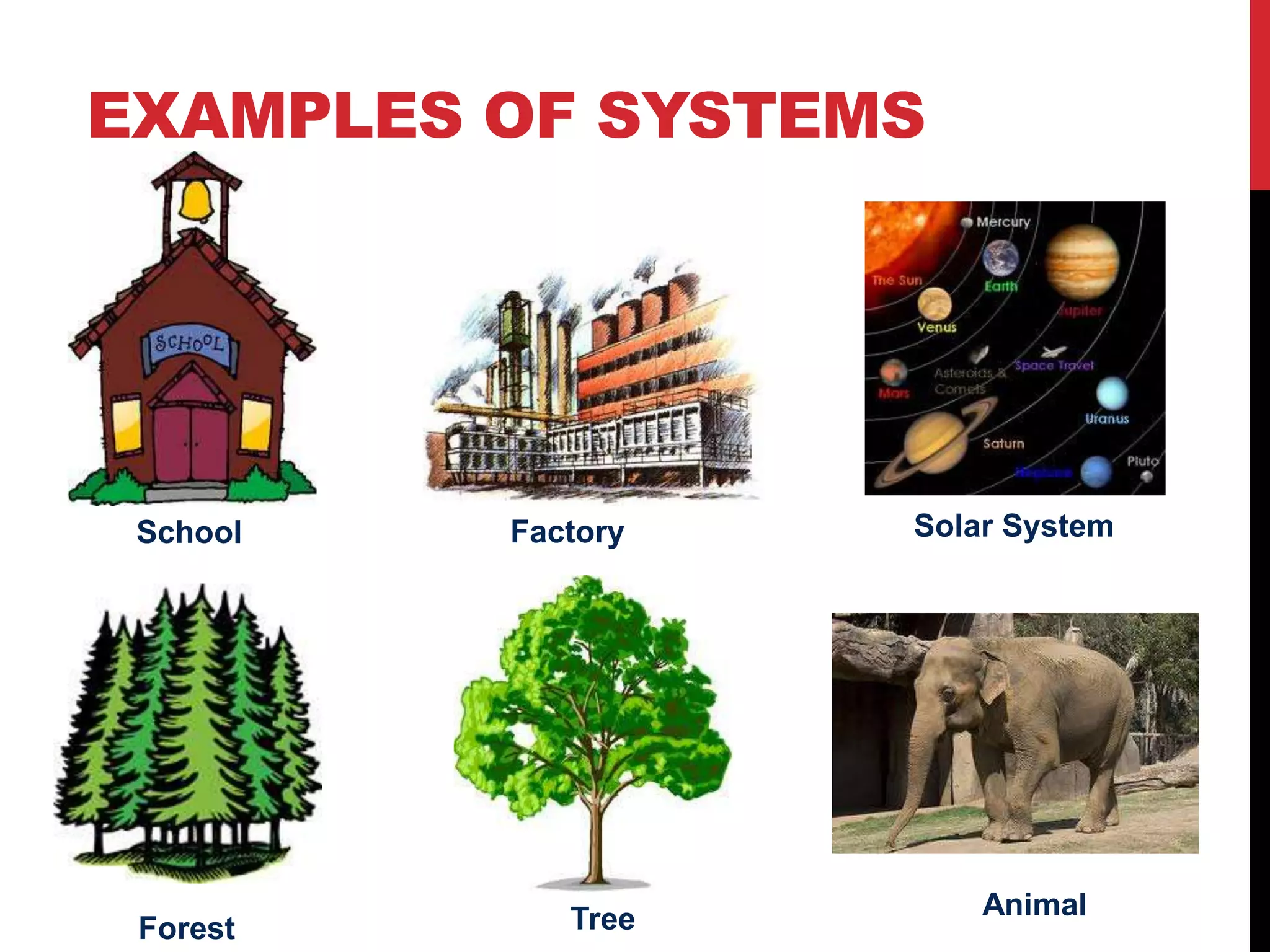 EXAMPLES OF SYSTEMS
Forest
FactorySchool Solar System
Tree Animal
 