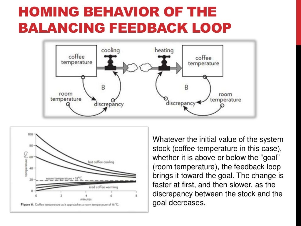 Donella Meadows Thinking In Systems