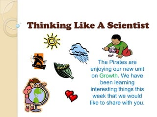 Thinking Like A Scientist The Pirates are enjoying our new unit on Growth. We have been learning interesting things this week that we would like to share with you.  