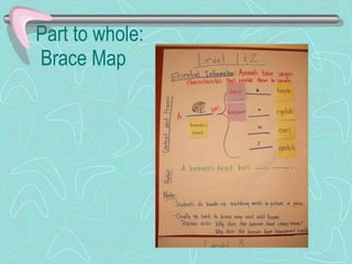 Part to whole:  Brace Map 
