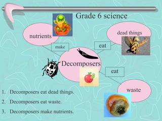 Decomposers dead things waste nutrients eat eat make Decomposers eat dead things. Decomposers eat waste. Decomposers make nutrients.  Grade 6 science  