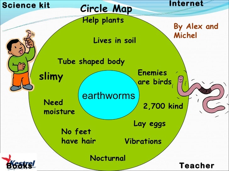 circle map