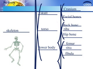 LOGO 
skeleton 
skull 
torso 
lower body 
Cranium 
Facial bones 
Back bone 
ribs 
Hip bone 
femur 
tibia 
fibula 
By Brett 
 