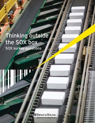 Thinking outside
the SOX box
SOX survey questions
 