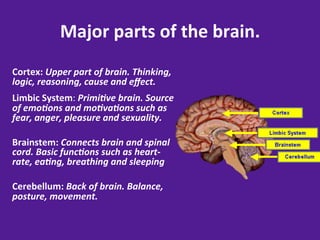 Major	
  parts	
  of	
  the	
  brain.	
  
Cortex:	
  Upper	
  part	
  of	
  brain.	
  Thinking,	
  
logic,	
  reasoning,	
  cause	
  and	
  eﬀect.	
  
Limbic	
  System:	
  Primi;ve	
  brain.	
  Source	
  
of	
  emo;ons	
  and	
  mo;va;ons	
  such	
  as	
  
fear,	
  anger,	
  pleasure	
  and	
  sexuality.	
  
	
  
Brainstem:	
  Connects	
  brain	
  and	
  spinal	
  
cord.	
  Basic	
  func;ons	
  such	
  as	
  heart-­‐
rate,	
  ea;ng,	
  breathing	
  and	
  sleeping	
  
	
  
Cerebellum:	
  Back	
  of	
  brain.	
  Balance,	
  
posture,	
  movement.	
  
	
  
 