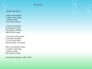Poesía ÁLAMO BLANCO                              Arriba canta el pájaro Y abajo canta el agua ( Arriba y abajo Se me abre el alma)   ¡ Entre dos melodías, la columna de plata! Hoja, pájaro, estrella; baja flor, raíz, agua.   ¡ Entre dos conmociones, La columna de plata! (¡ Y tú, tronco ideal, Entre mi alma y mi alma!)   Mece a la estrella el trinco, La onda a la flor baja. ( Abajo y arriba, Me tiembla el alma)   Juan Ramón Jiménez ( 1881-1958) 