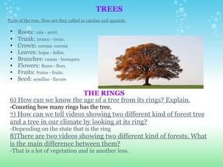 TREES Parts of the tree. How are they called in catalan and spanish: Roots:   raíz - arrel. Trunk:  tronco - tronc. Crown:  corona- corona Leaves:  hojas - fulles. Branches:  ramas - branques. Flowers:  flores - flors. Fruits:  frutos - fruits. Seed:  semillas - llavors   6) How can we know the age of a tree from its rings? Explain. -Counting how many rings has the tree. 7) How can we tell videos showing two different kind of forest tree and a tree in our climate by looking at its ring? -Depending on the state that is the ring 8)There are two videos showing two different kind of forests. What is the main difference between them? -That is a lot of vegetation and in another less. THE RINGS 