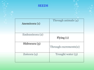 SEEDS              Anemócora (1)       Through animals (4)               Endozoócora (2)               Flying (1)              Hidrocura (3)     Through excrements(2)              Zoócora (4)           Trought water (3) 
